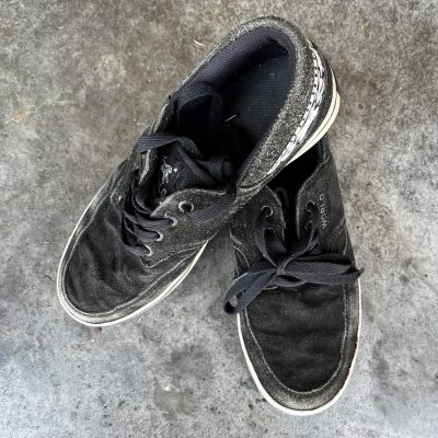 World Industries Skate Shoes
